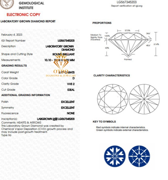 10.1ly nước D/VVS2 - KC Nuôi Cấy - IGI 