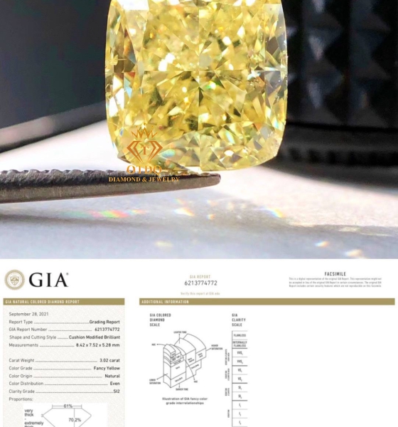KIM CƯƠNG VÀNG THIÊN NHIÊN - GIA 3.03 Carat FANCY YELLOW 